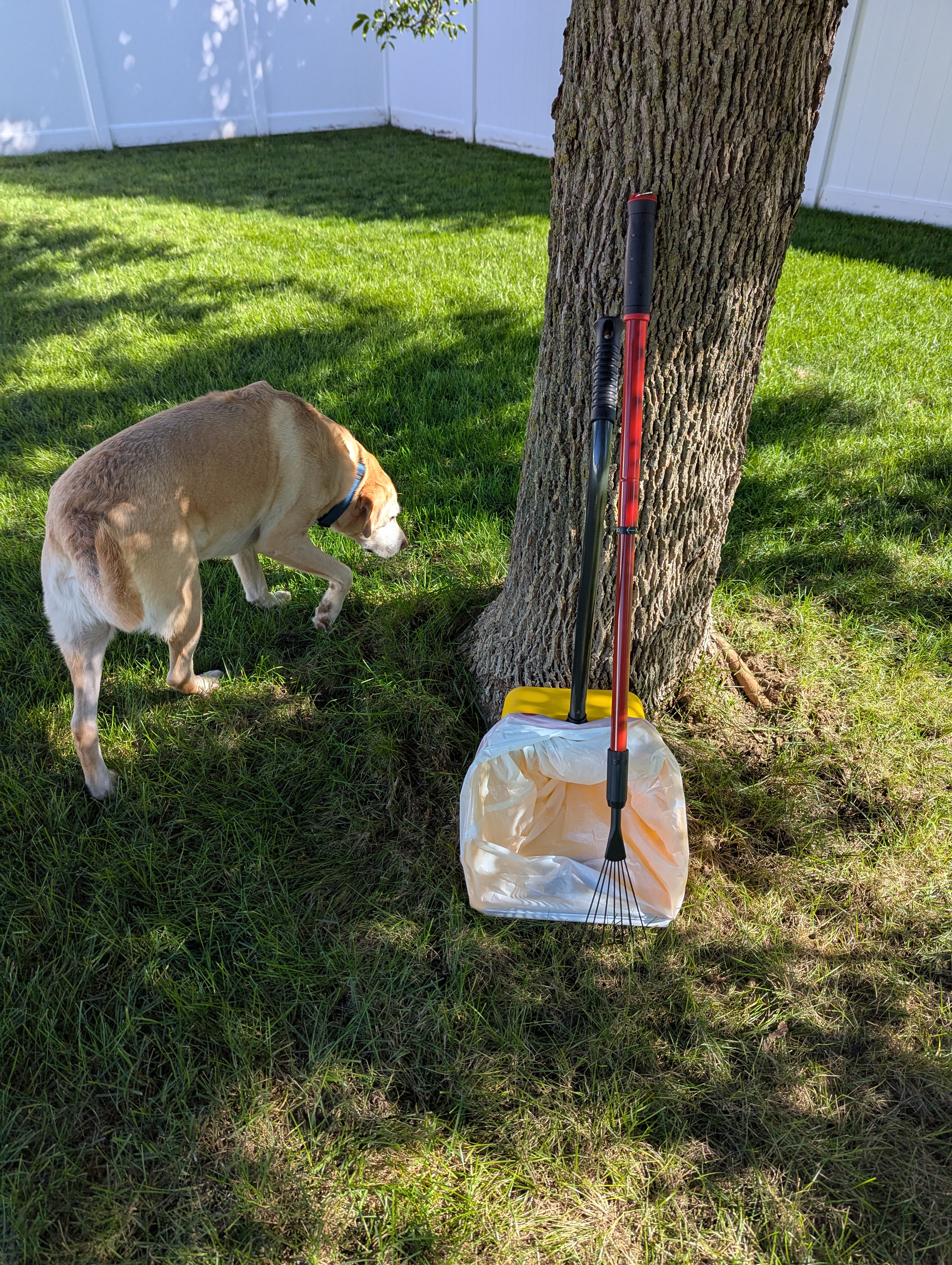 Dog waste cleanup tools in action - professional pet waste removal service at work in Omaha